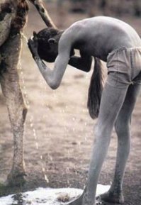 Все норм. ))
(для кого то)