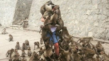 Все в стиле гостей из Азии или с Кавказа