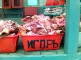 Прикольные и смешные картинки