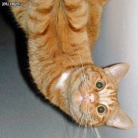 Рыбалка в сибири щучий омут такого не кто не ожидал-первый лёд 2019-2020