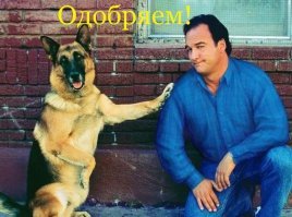 Полицейские сделали себе календарь - каждый собачник захочет такой же!