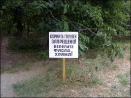 Образ кота в демотиваторах