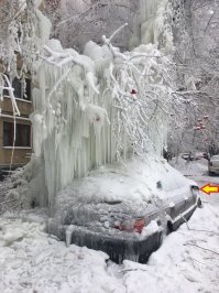 Сова?