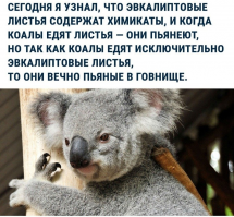 Кто этих сраных коал уже только не спасает