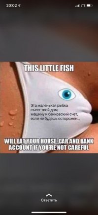 Смешные картинки из соц. сетей