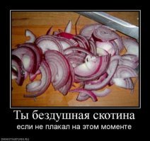 Это - "сладкий" лук! От него не плачут!!!