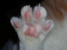 35 фото, которые наверняка заставят вас улыбнуться