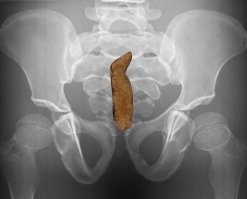 Ох простите меня местные, но "В Денисовой пещере..." представилось именно так)