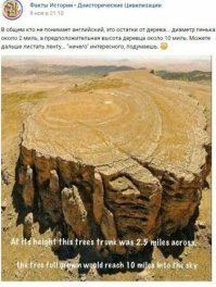 А здесь что рекламируют?