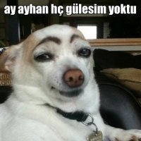 Эта больше похожа...