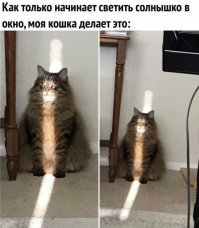 Прикольные фотографии - субботний выпуск