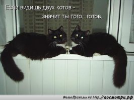 Алкопост на вечер этой пятницы