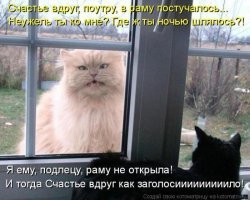 35 фото, которые наверняка заставят вас улыбнуться