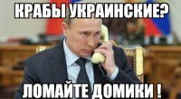 Чёрное море: дельфинов всё меньше, зато мусор начинает сбиваться в острова 