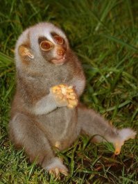 Прикольные и смешные картинки