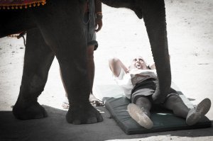 35 фото, которые наверняка заставят вас улыбнуться