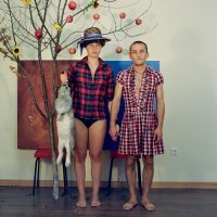 Прикольные и смешные картинки