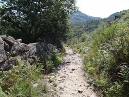 Римские дороги на севере Португалии: