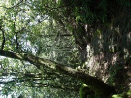 Римские дороги на севере Португалии: