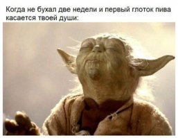 Алкопост на вечер этой пятницы