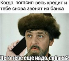 35 фото, которые наверняка заставят вас улыбнуться