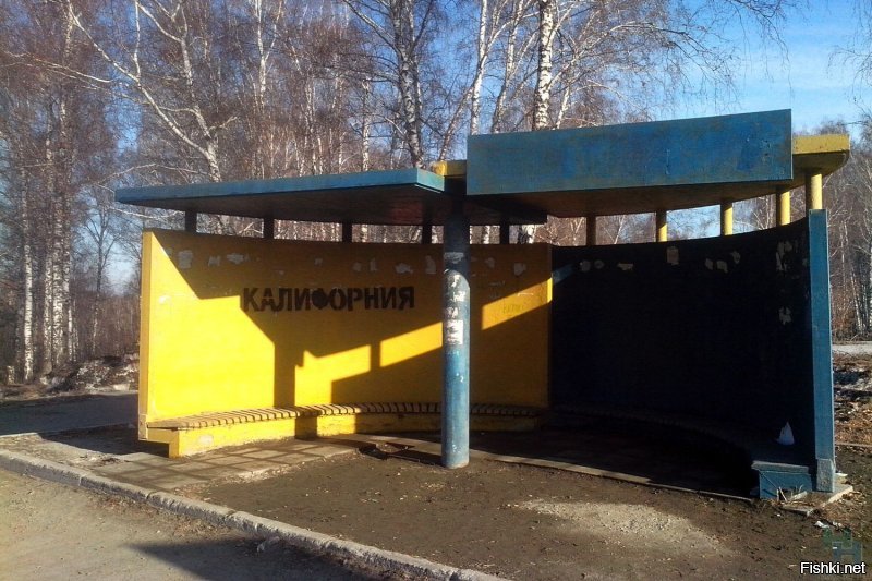 Остановка «Калифорния» вернулась в пригород Новосибирска, а не воображение воспаленного ума...