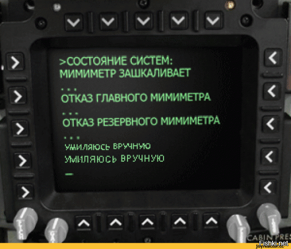 Из-за редкой болезни овчарка на всю жизнь останется миниатюрной