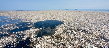 Ну скоро уже придется что то делать. Может вместо гонки вооружений очистим свою самими же засранную планету? Есть умные люди и решения по этой проблеме. Тот же Бойан Слат предложил собирать и в переработку(т.е оно себя окупит) Ну скоро уже придется что то делать. Иначе нас ждет разочарование.....