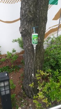 Возле Лотте, Пусан 2018г.