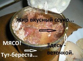 Сколько мяса в тушенке?