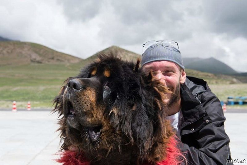 Вот моя из Тибета 2014-го))