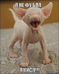 С добрым утром