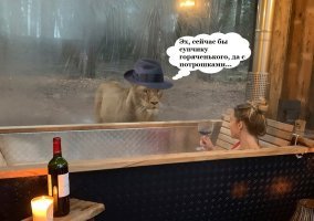 Отдых с видом на львов: первый в мире отель посреди заповедника