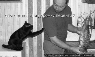 Юмористические зарисовки