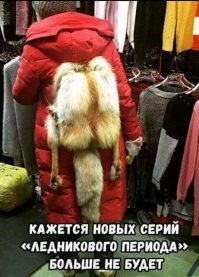 Да уж нет , белка на редкость живучая !!!