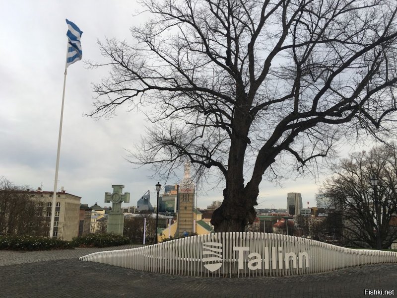 Ну, не знаю. Эти фотки пролистайте, потом опять те что вверху...