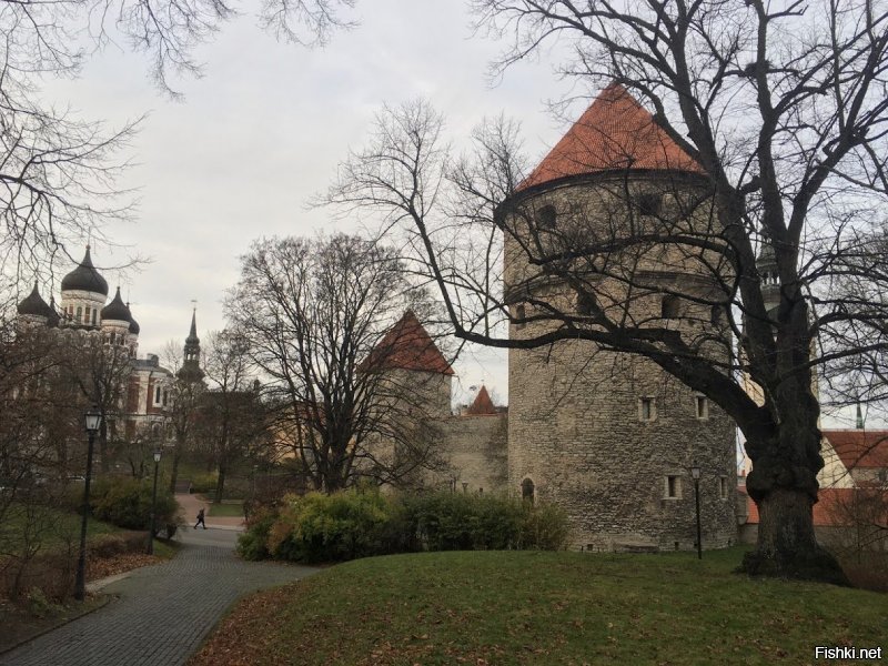 Ну, не знаю. Эти фотки пролистайте, потом опять те что вверху...