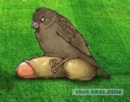 Подрос воробушек я смотрю
