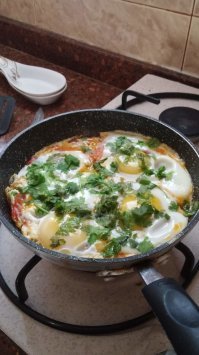 Спасибо. Как всегда интересно. Вот только шакшука вариант из кафешки- не вкусно. Лучшую делают выходцы из Марокко. Научили- делаю вот фото в моем приготовлении и рецепт
Шакшука. сковоррода  26 см. помидор один большой или 2 мелких. перец  болгарский малый или половина большого. Пожарить  лук, мелко рубленые перец болгарский и помидоры. посолить и поперчить. припустить минут 5-7 под крышкой. Добавить петрушку и чеснок. Вбить четыре яйца. припустить до пленочки на желтках. желтки должны быть сырые. Любители еще и шампиньоны добавляют или фалафель(гороховые тефтельки мелкие)