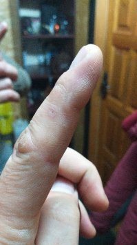 Прикольные и смешные картинки