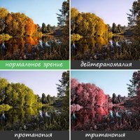 Как видят мир дальтоники.