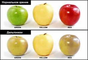Как видят мир дальтоники.