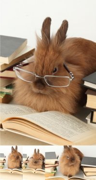 10 шутников из прошлого, которые явно переплюнули современных троллей