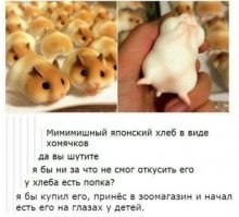 Прикольные и смешные картинки