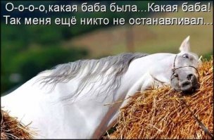Фотоподборка