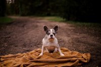 - Ноябрь можно показывать малышам , которые не слушаются, вместо Бабайки..