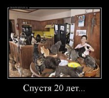 Любовь с первого "мяу"