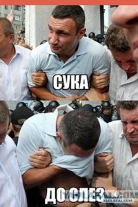 Прикольные и смешные картинки