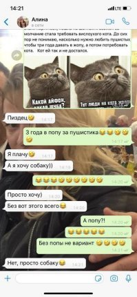 Скрины из социальных сетей
