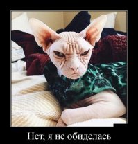 Демотивируй